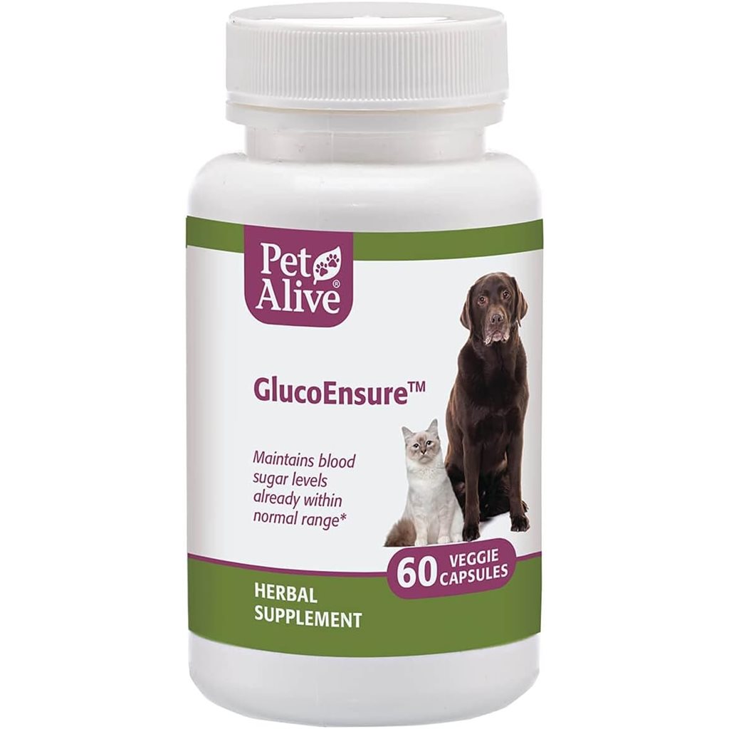 PetAlive - GlucoEnsure 針對糖尿病