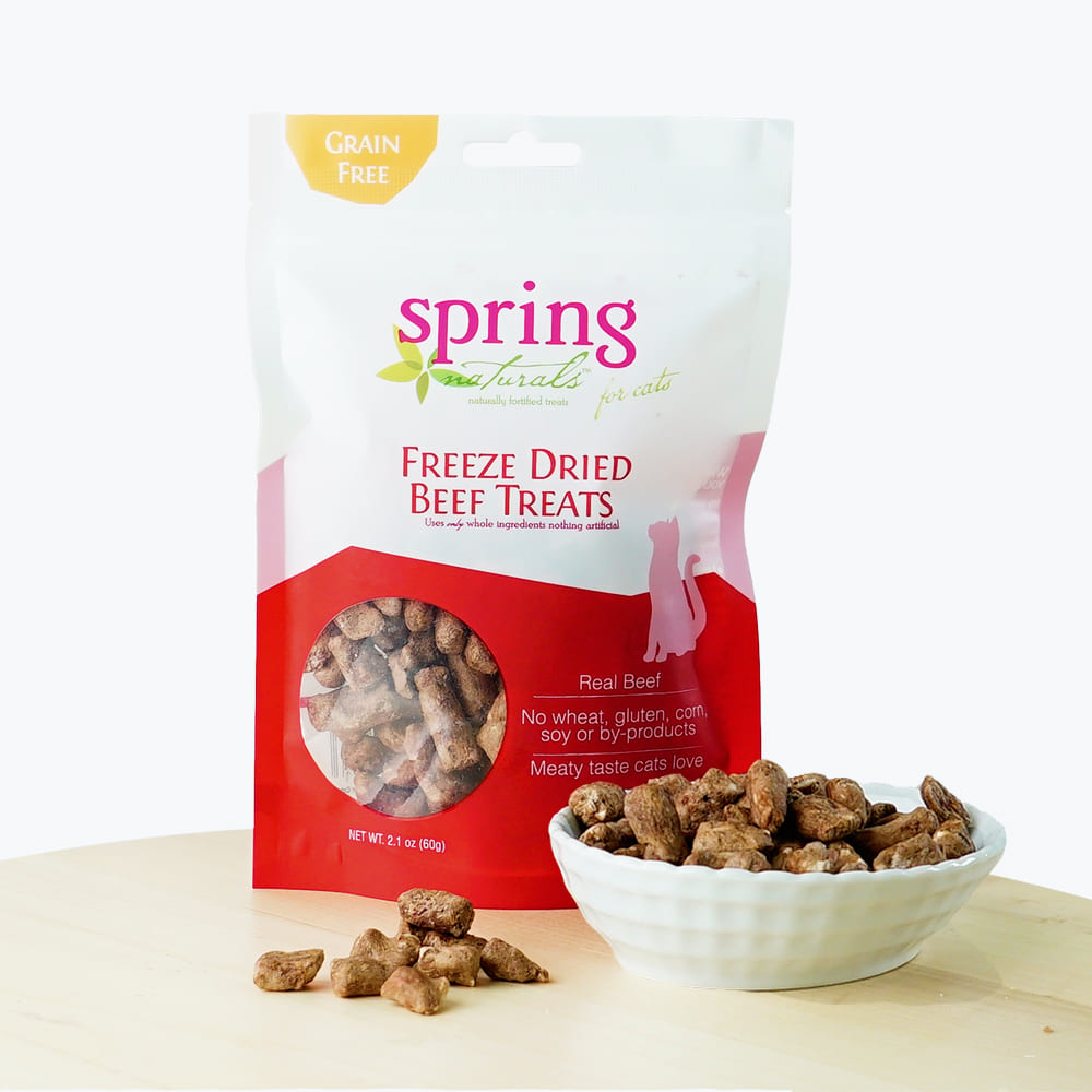 Spring Naturals - 冷凍脫水貓小食系列(小魚乾/牛肉/三文魚)