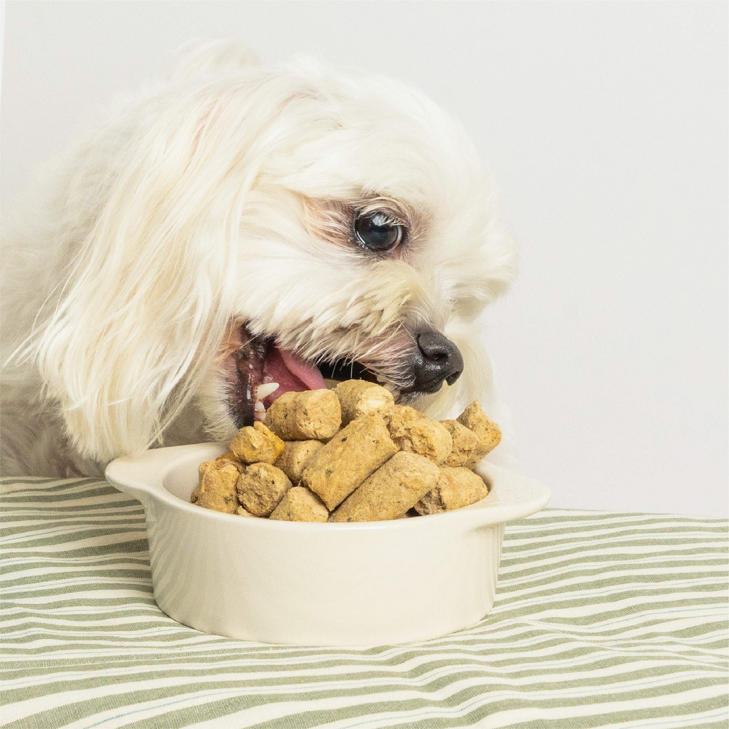 汪喵星球 -紐西蘭進口犬用天然低敏凍乾主食餐(80g/500g)