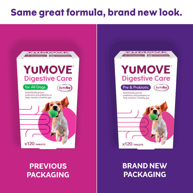 YuDERM - 狗狗益生菌 YuMOVE Digestive Care Pre & Probiotic