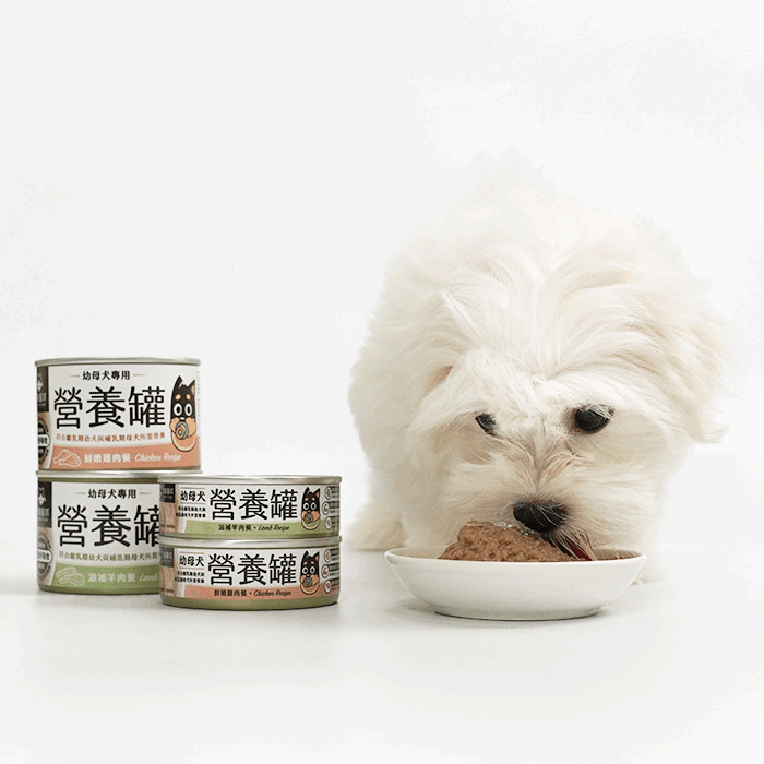 汪喵星球 - 幼母犬 95% 營養無膠主食罐(小罐80g/165g)