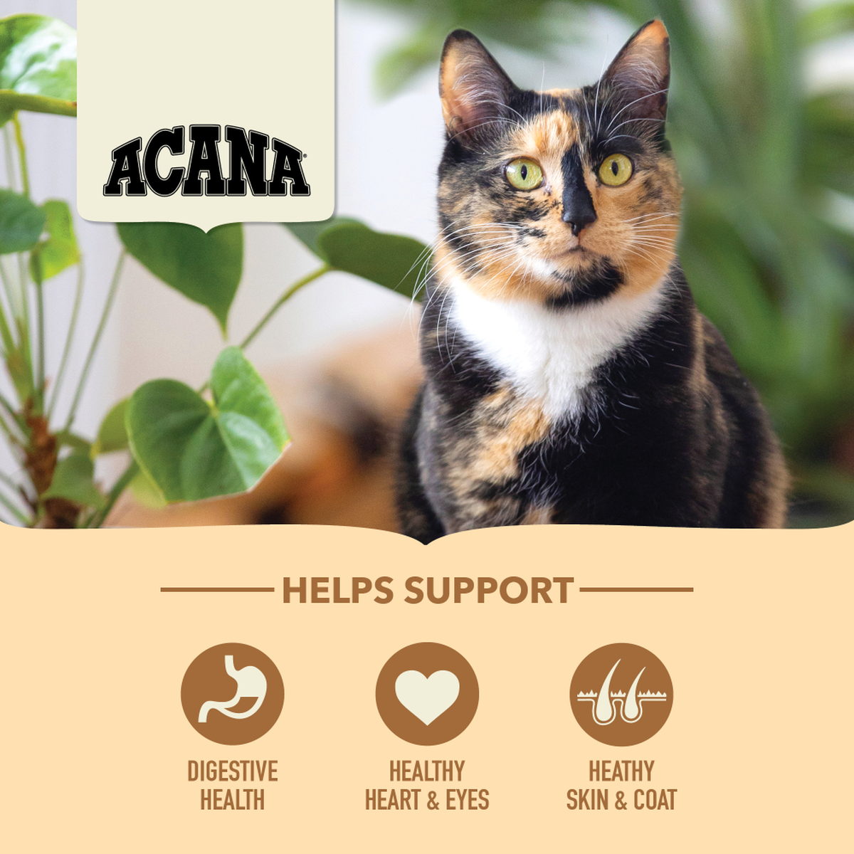 ACANA - 農場盛宴無穀配方貓糧(1.8kg/4.5kg)