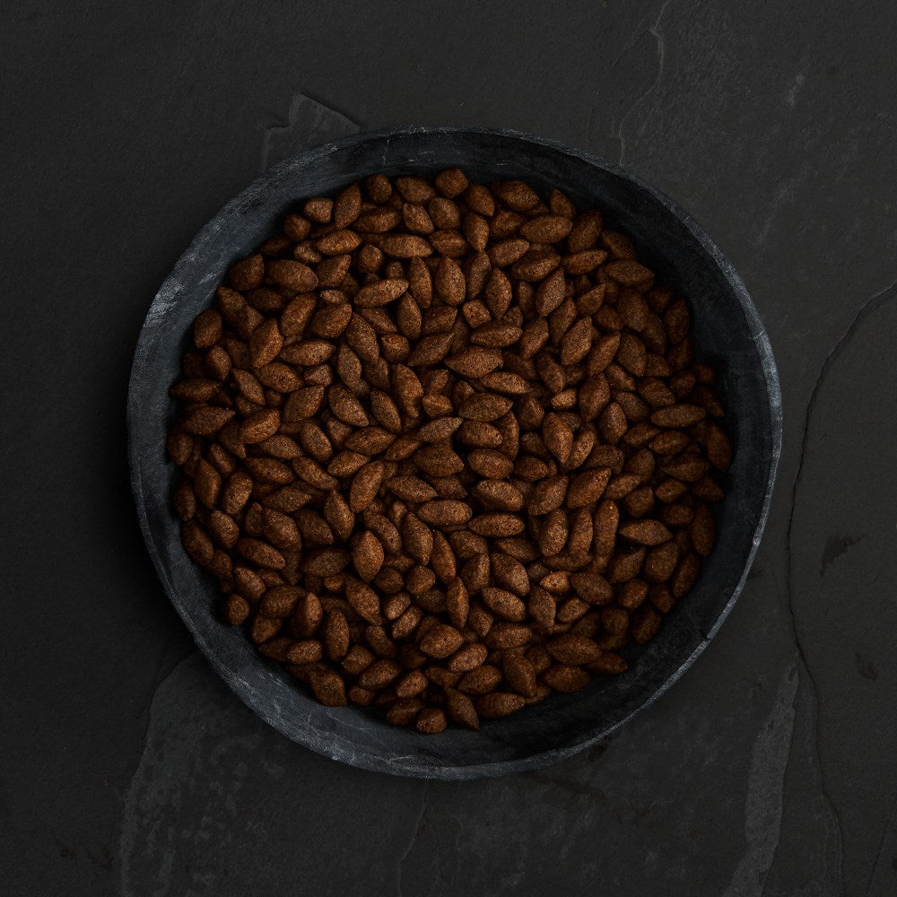 CANAGAN - 無穀物蟲蟲蛋白配方狗糧(1.5kg)