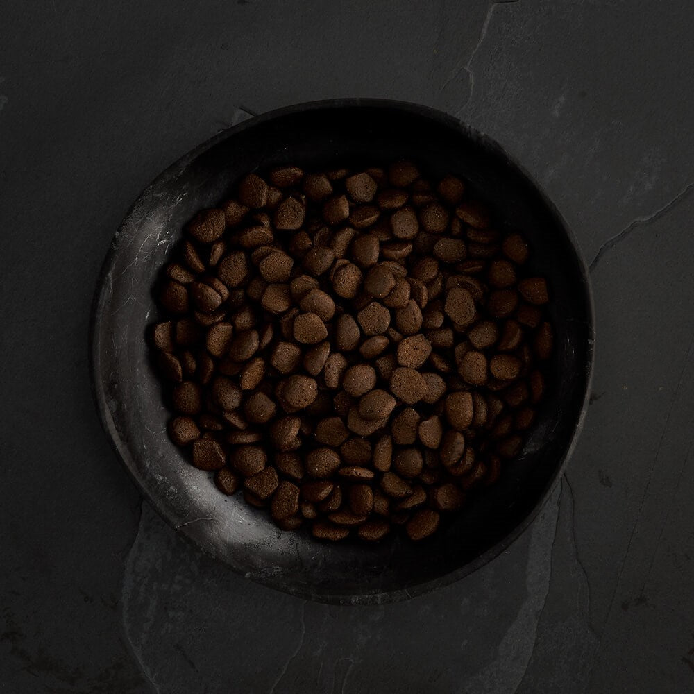 CANAGAN - 無穀物蘇格蘭三文魚狗糧配方(2kg/6kg/12kg)