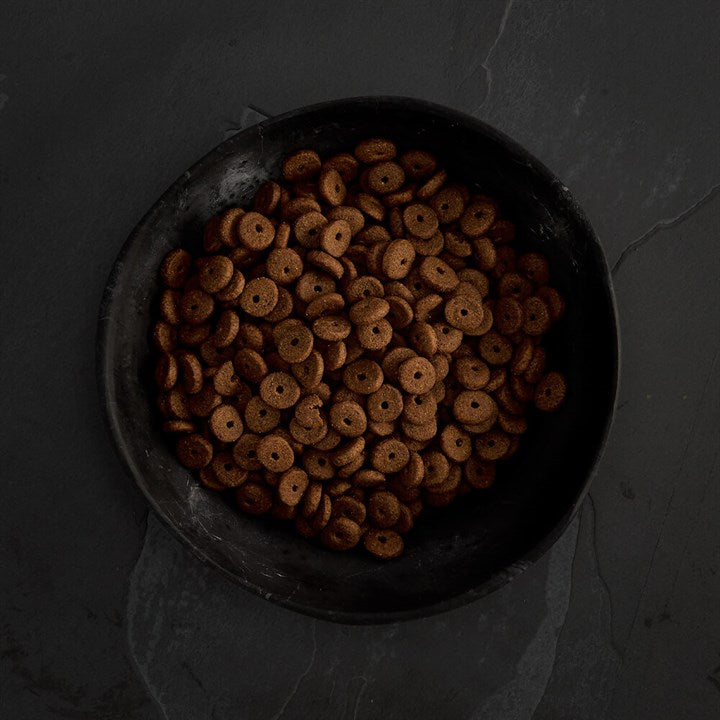 CANAGAN - 無穀物走地雞老犬配方(2kg/6kg/12kg)
