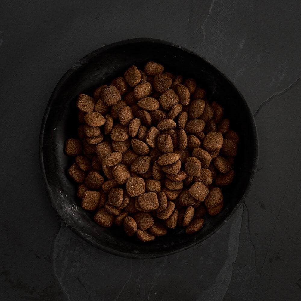 CANAGAN - 無穀物放牧羊狗糧配方(2kg/6kg/12kg)