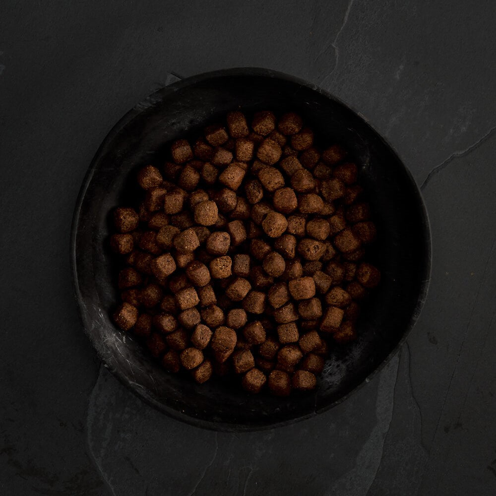 CANAGAN - 無穀物火雞健齒配方小型犬專用(2kg/6kg)