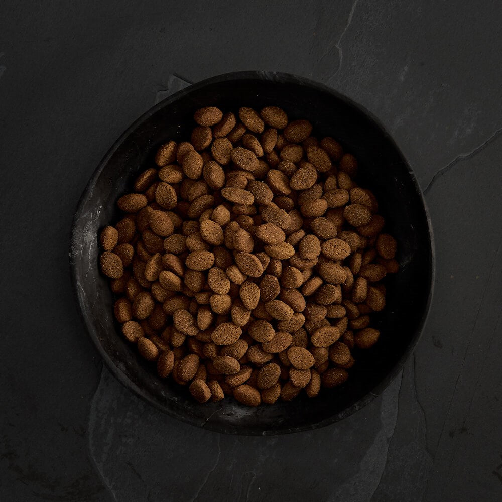CANAGAN - 無穀物田園野味配方(2kg/6kg/12kg)
