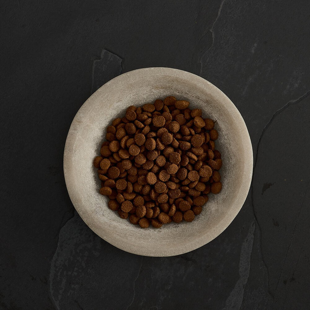 CANAGAN - 無穀物火雞健齒貓糧配方(1.5kg/4kg)