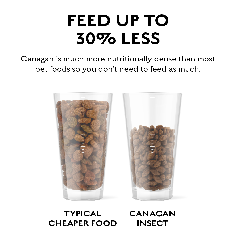 CANAGAN - 無穀物蟲蟲蛋白配方狗糧(1.5kg)