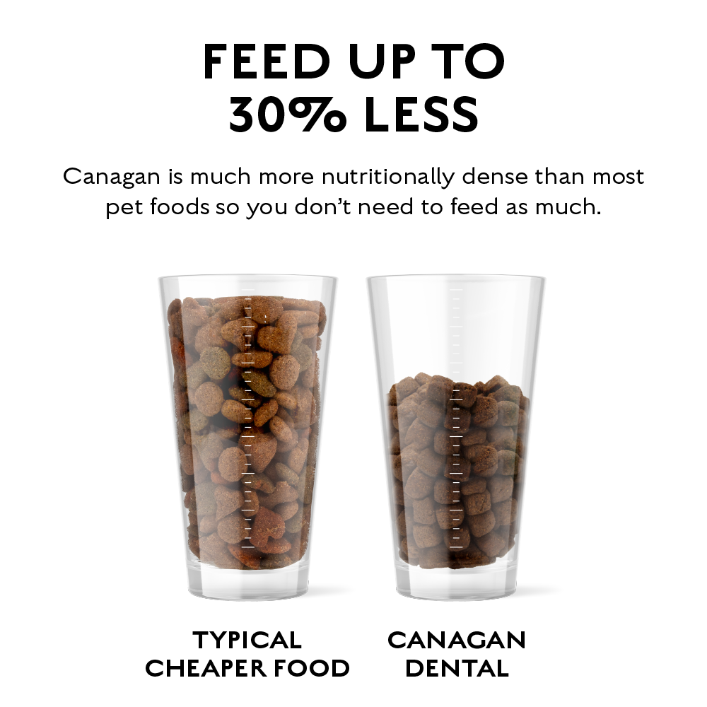 CANAGAN - 無穀物火雞健齒配方小型犬專用(2kg/6kg)