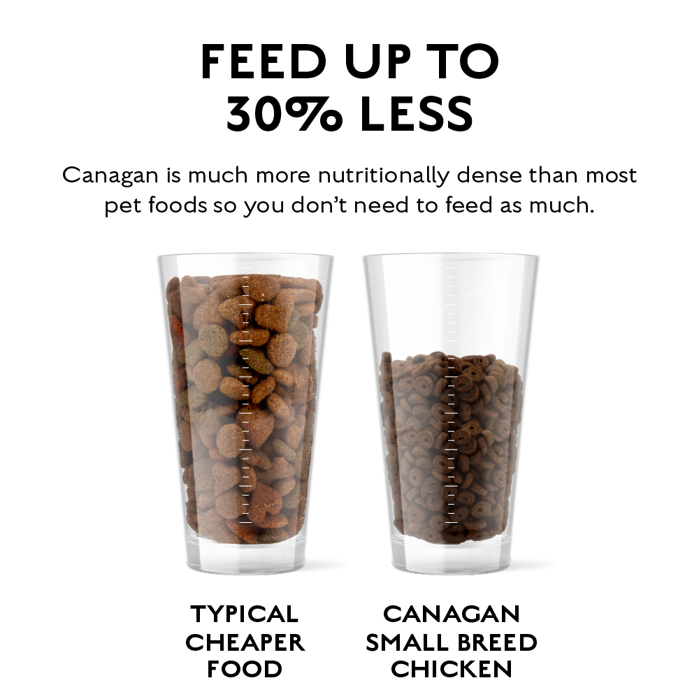 CANAGAN - 無穀物走地雞配方小型犬專用(2kg/6kg)