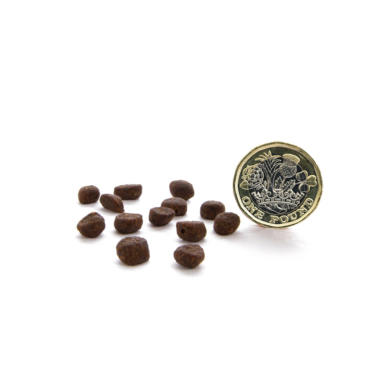 CANAGAN - 無穀物蘇格蘭三文魚貓糧配方(1.5kg/4kg)