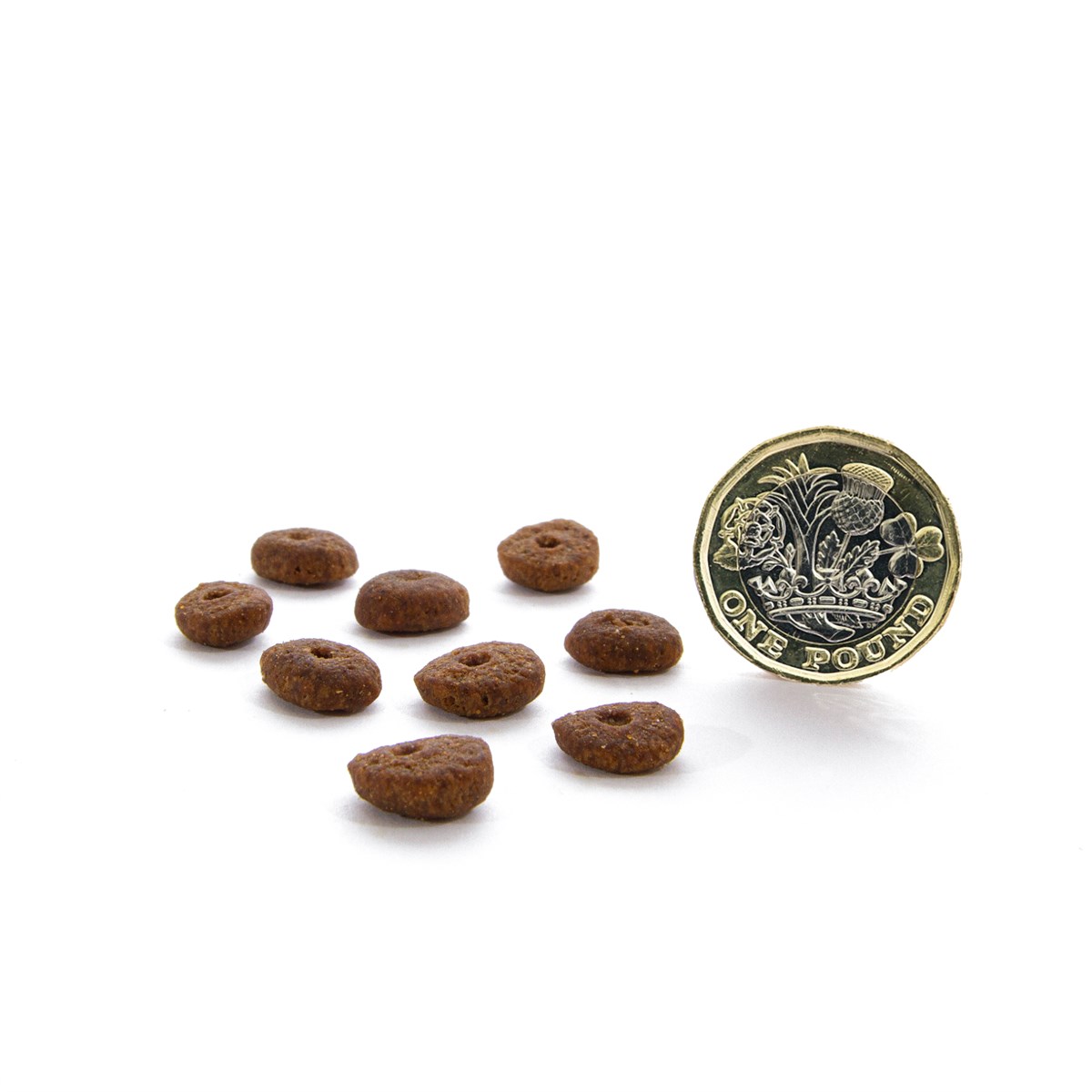 CANAGAN - 無穀物走地雞老貓配方(1.5kg/4kg)