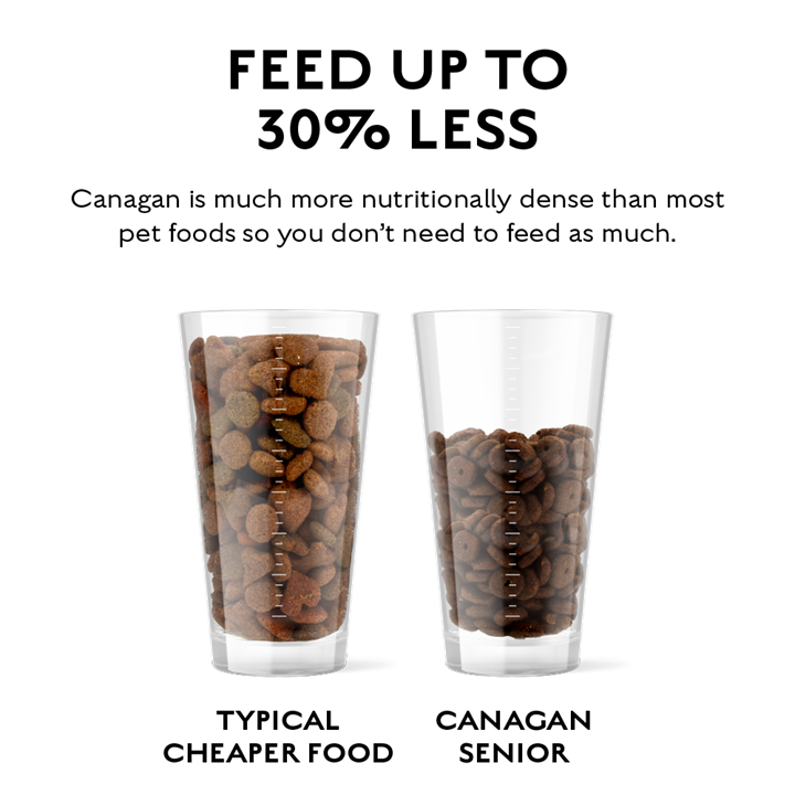 CANAGAN - 無穀物走地雞老犬配方(2kg/6kg/12kg)