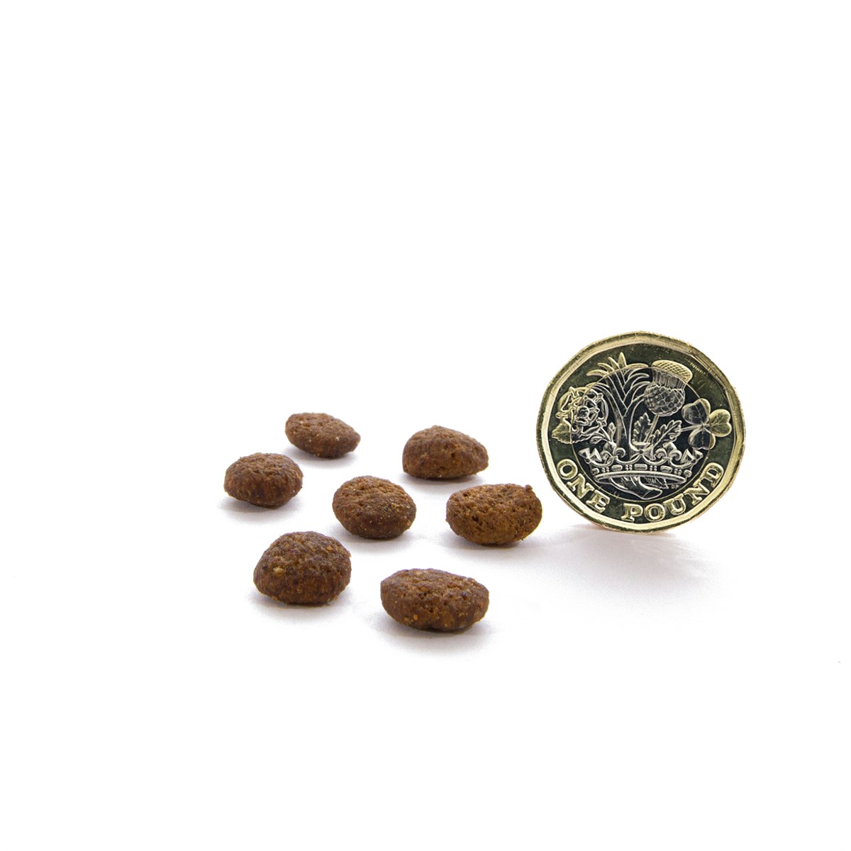 CANAGAN - 無穀物火雞健齒貓糧配方(1.5kg/4kg)