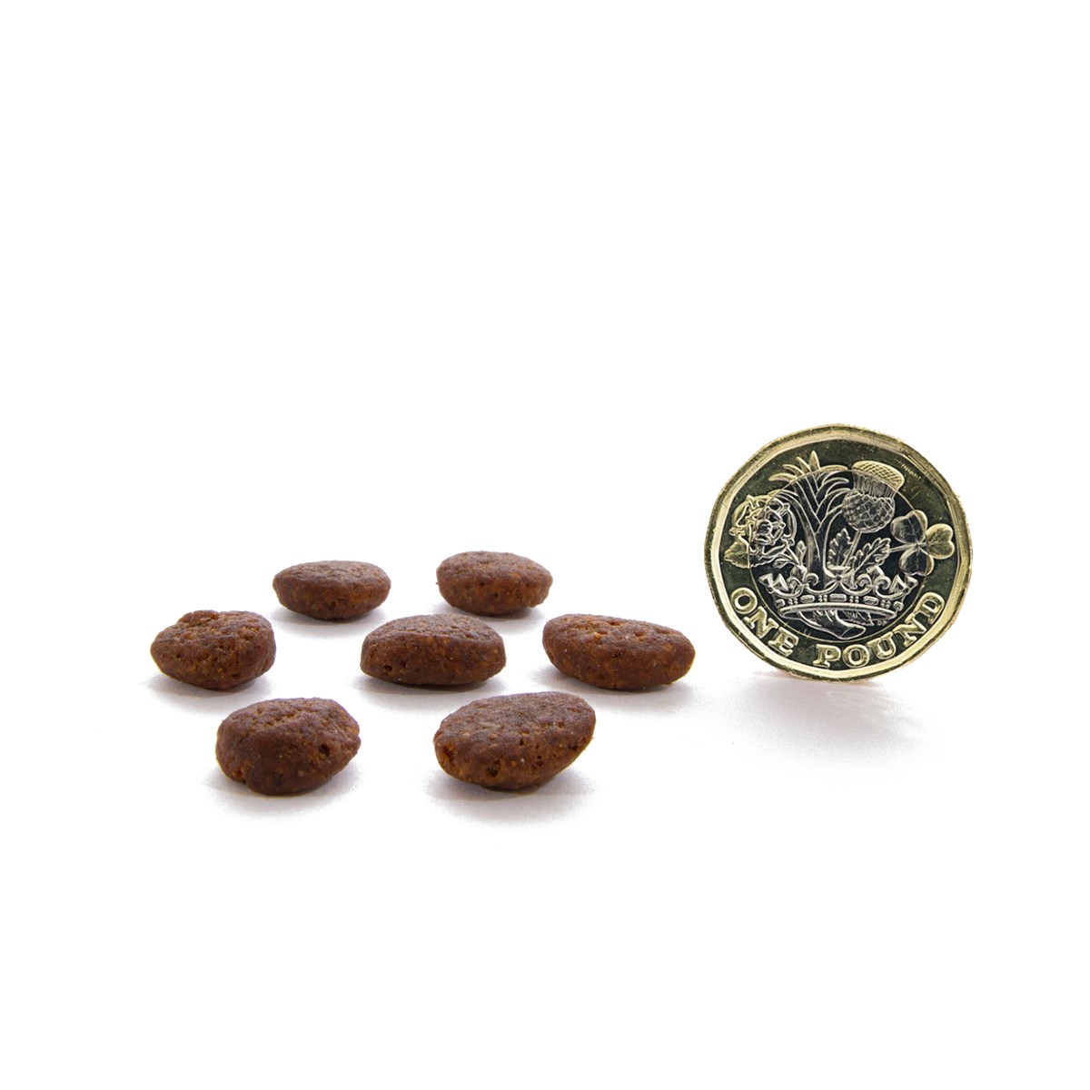CANAGAN - 無穀物走地雞貓糧配方(1.5kg/4kg)