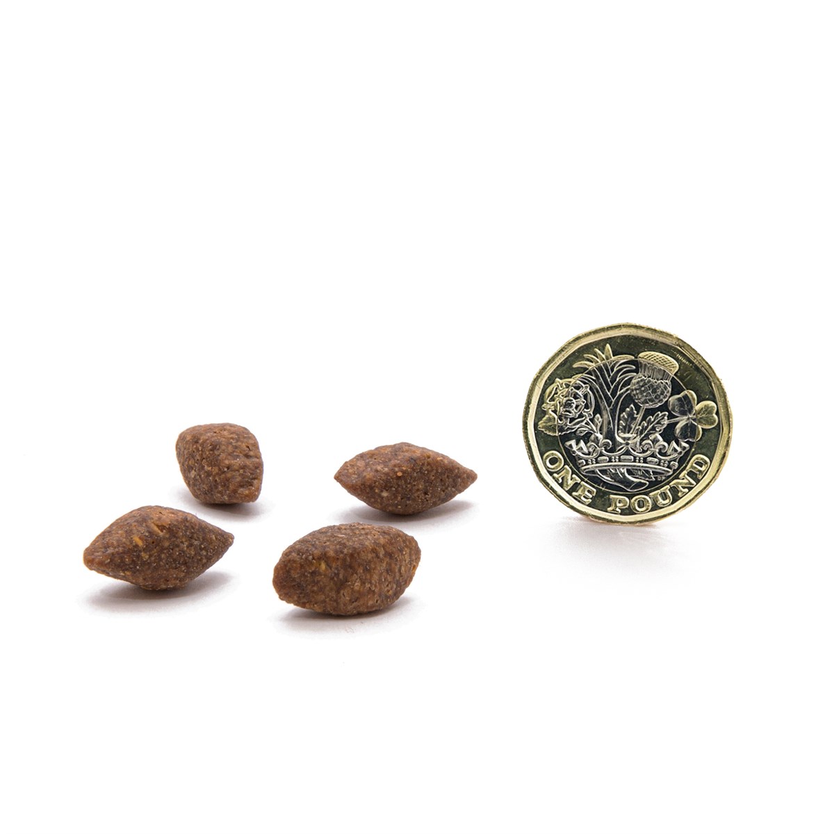 CANAGAN - 無穀物蟲蟲蛋白配方狗糧(1.5kg)