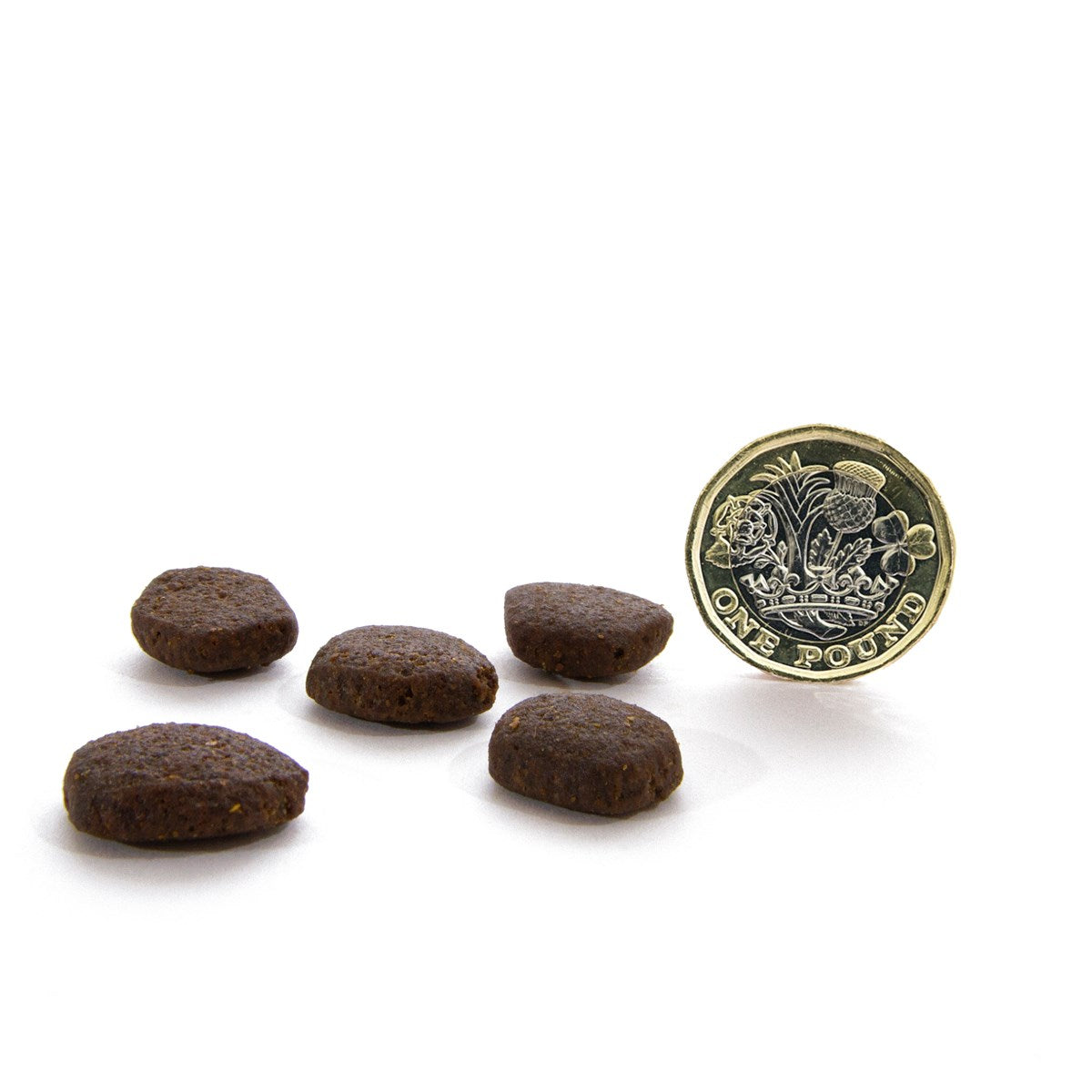 CANAGAN - 無穀物蘇格蘭三文魚配方小型犬專用(2kg/6kg)