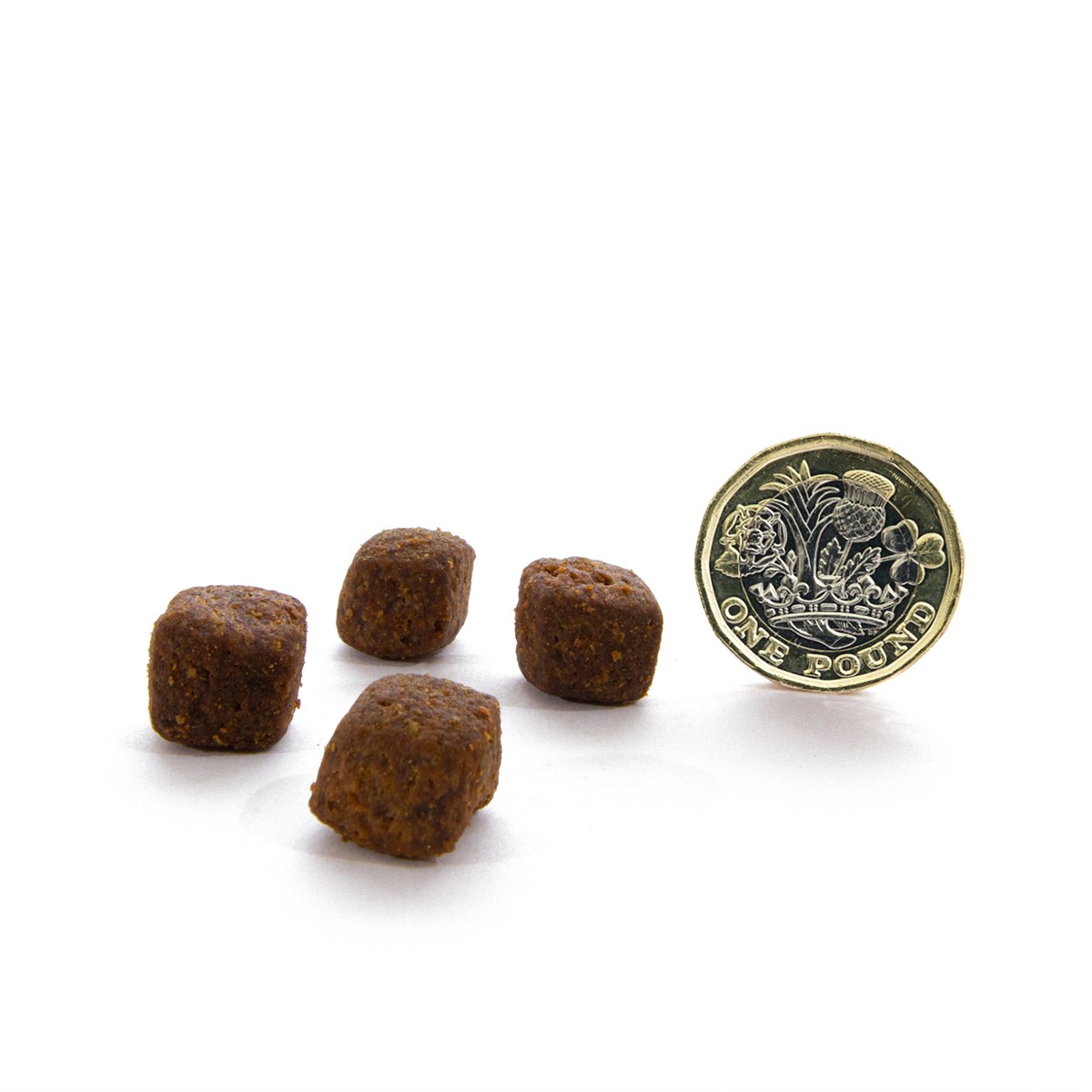 CANAGAN - 無穀物火雞健齒配方小型犬專用(2kg/6kg)