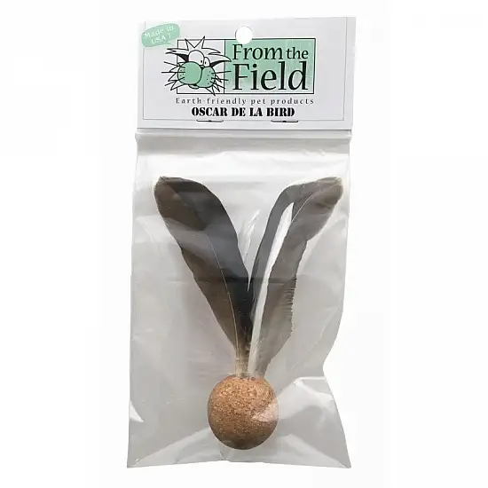 From the Field - 軟木飛鳥