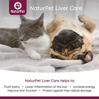 NaturPet - 肝臟護理 Liver Care
