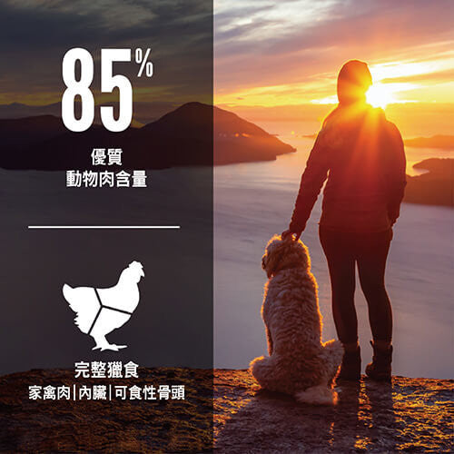 Orijen - 無穀配方老犬飼料(2kg/6kg/11.4kg)