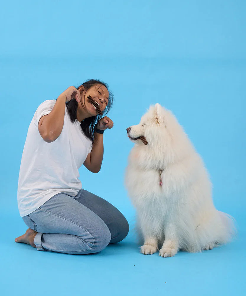 Buddy Bites 狗狗潔齒棒