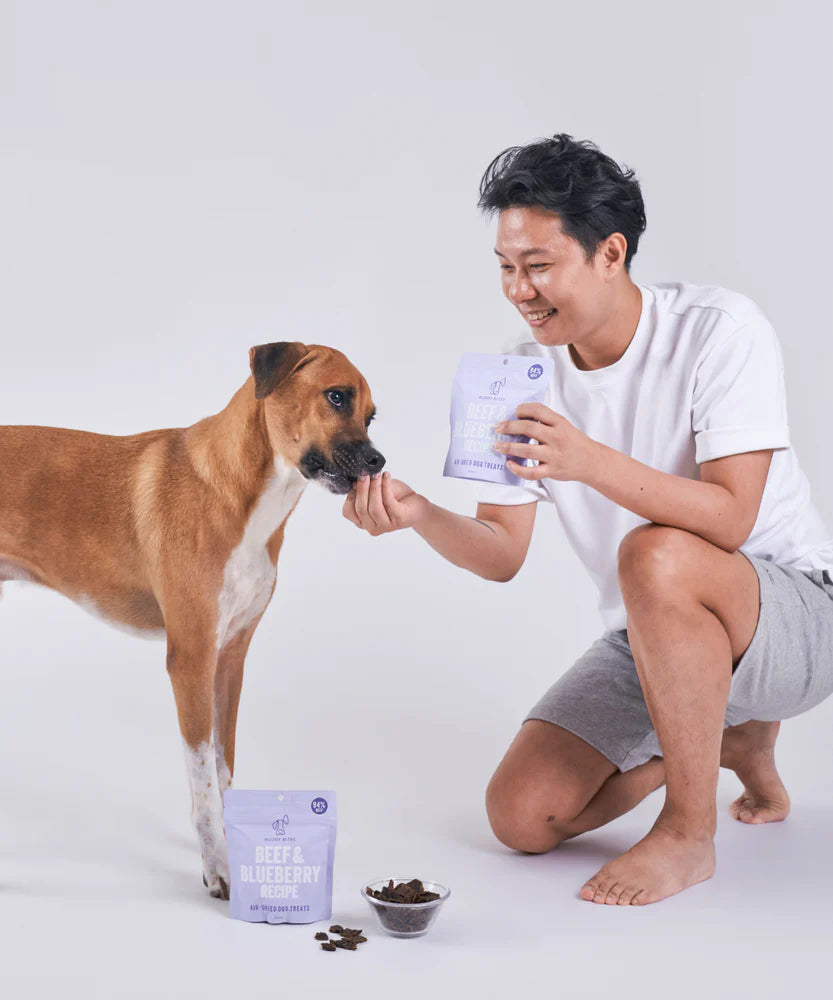 Buddy Bites 天然風乾狗狗零食 - 牛肉/藍莓