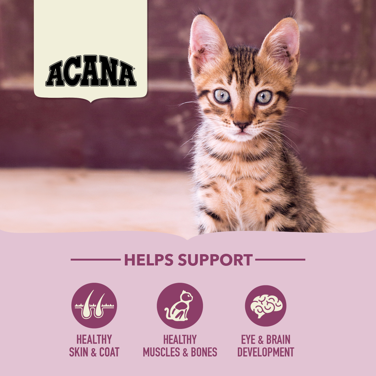 ACANA - 無穀第一盛宴貓糧低GI配方