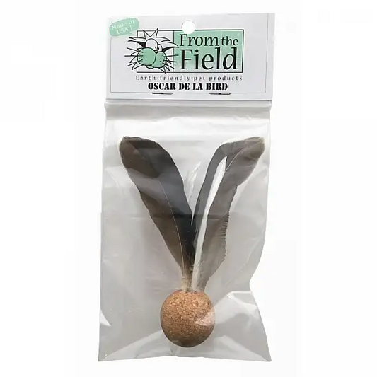 From the Field - 軟木飛鳥